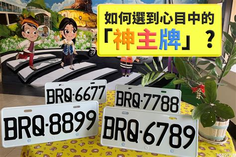 車牌要怎麼選|車牌怎麼選比較好？數字五行解析吉凶秘訣完整教學